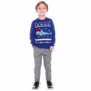 NWT Andy & Evan Kids Holiday 2-piece Set for BOYS BLUE GRAY Christmas winter